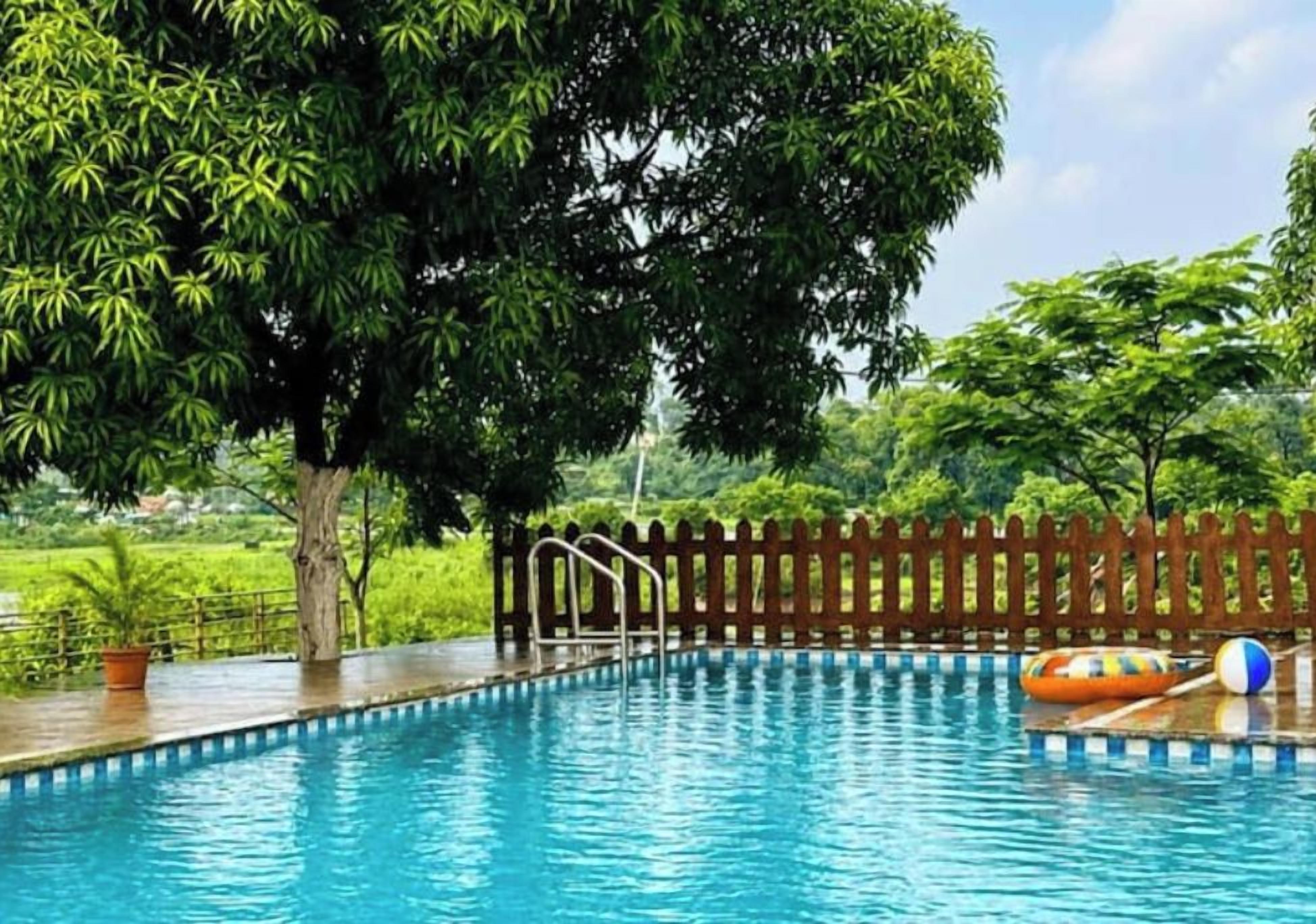 A swimming pool with a wooden fence, surrounded by trees and greenery.