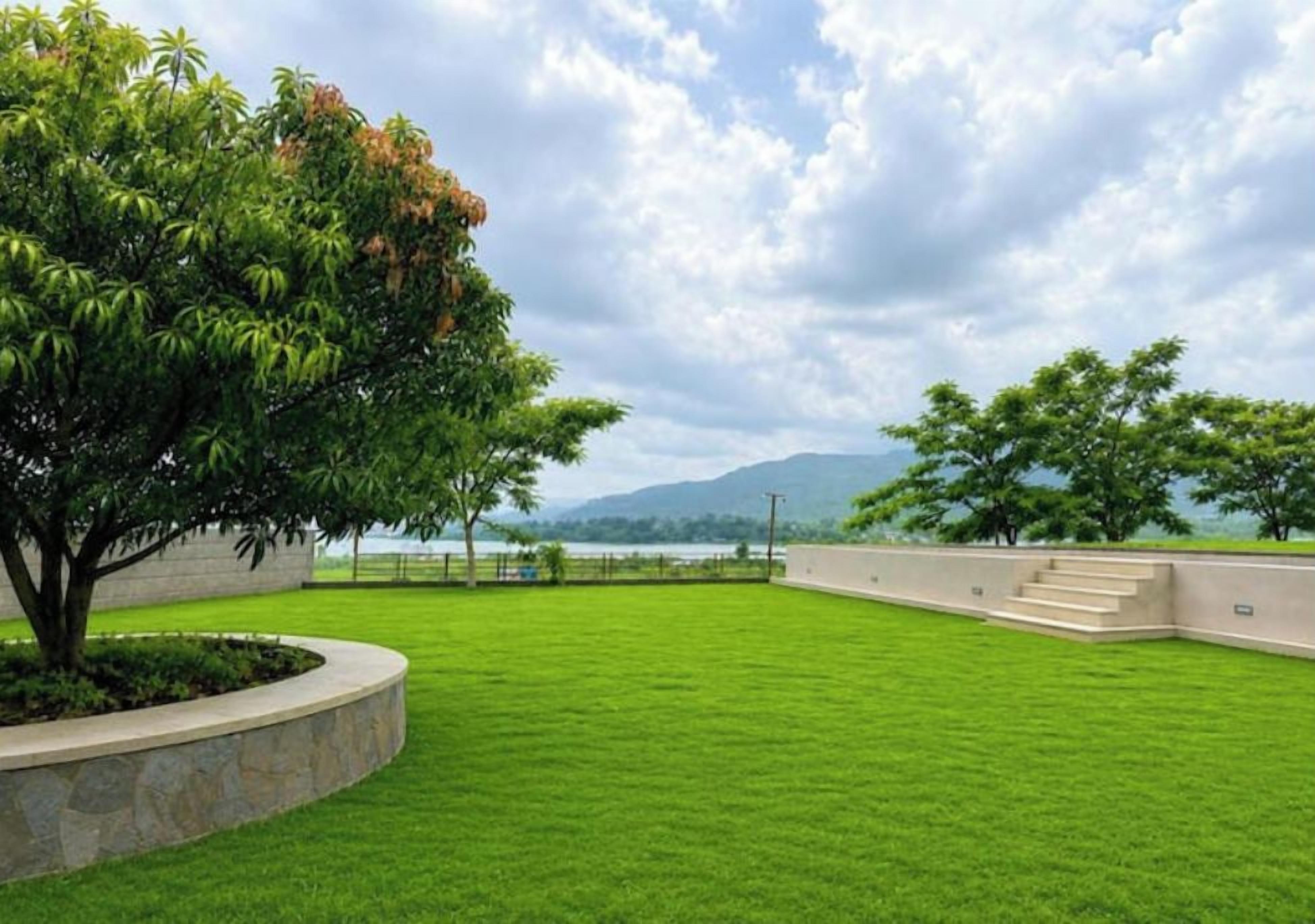 A landscaped area with a well-maintained lawn, a curved stone wall, and a tree with green foliage.