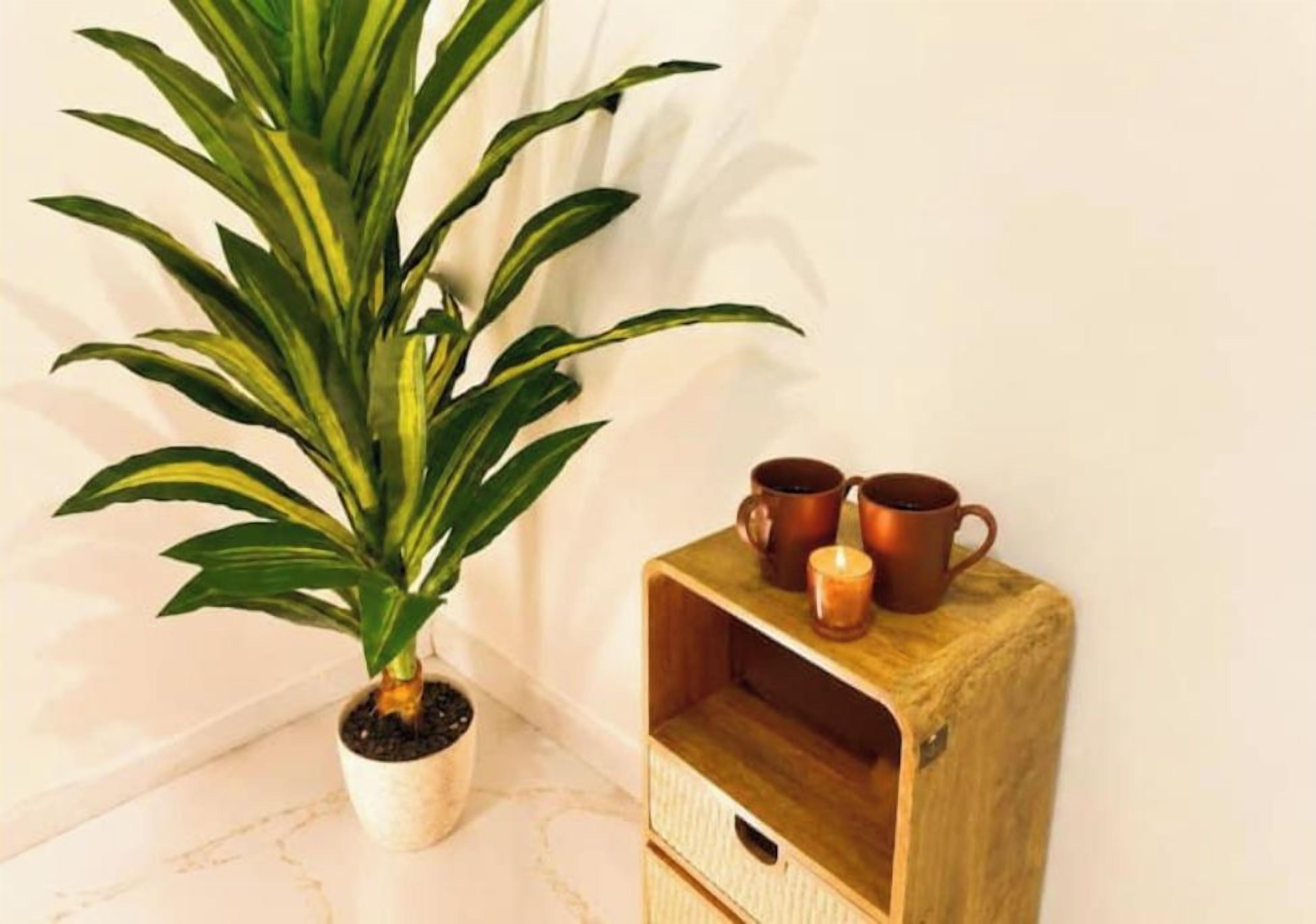 A potted plant, two copper mugs, and a candle on a wooden nightstand.