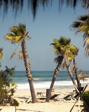 A beach with palm trees and a clear view of the ocean. - Tulum Beach Resort & Spa Dakhla (Dakhla)