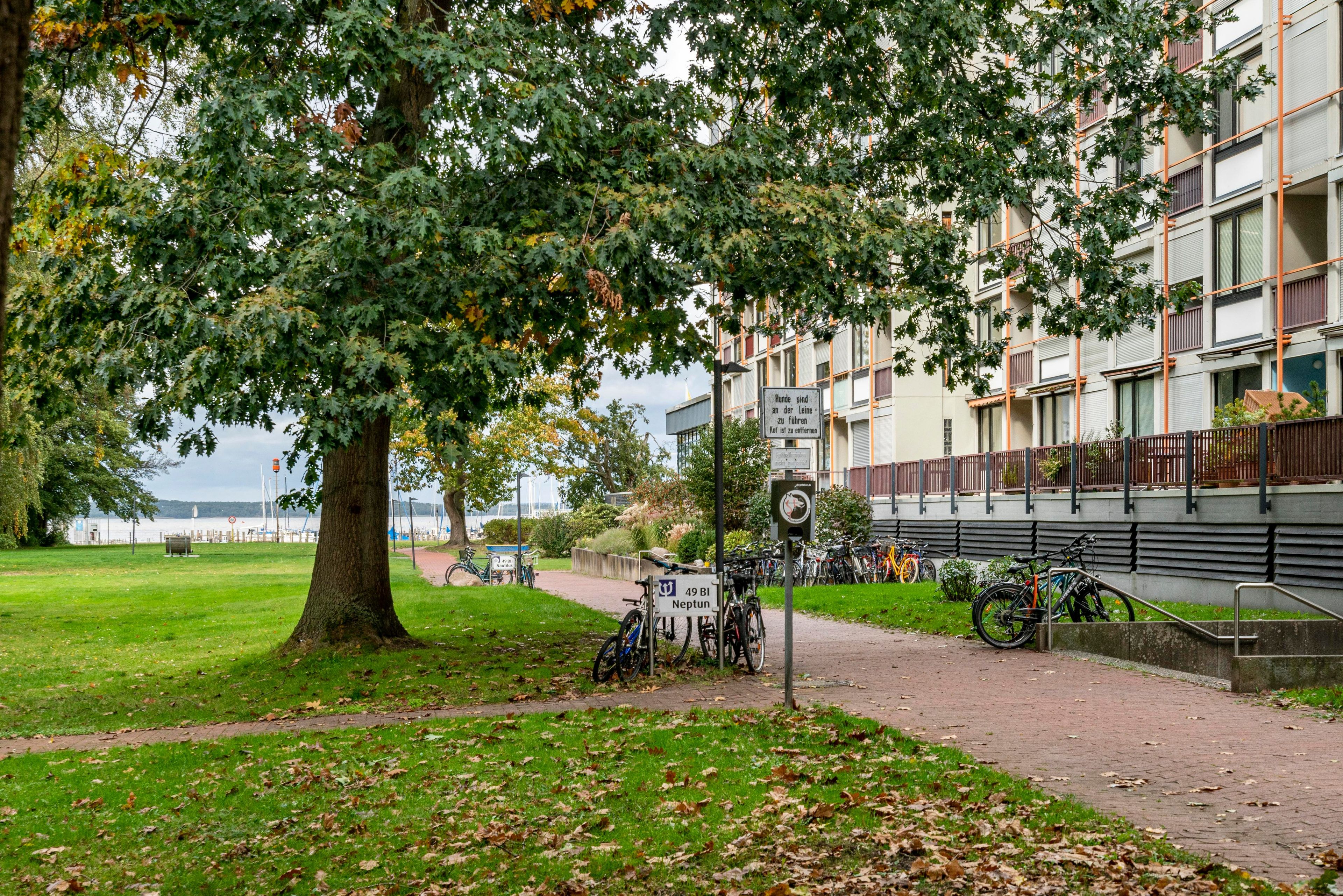 A tree-lined pathway with bicycles parked, a sign indicating a pedestrian path, and a view of a body of water.
