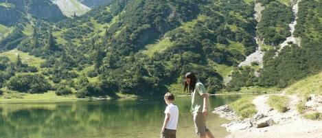 Un paisaje natural con un lago, montañas y cielo despejado.