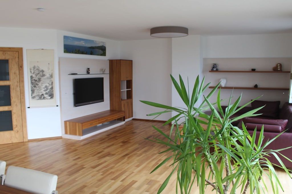 En moderne stue med et fladskærms-tv, trægulv, en stor grøn plante og en rød sofa.