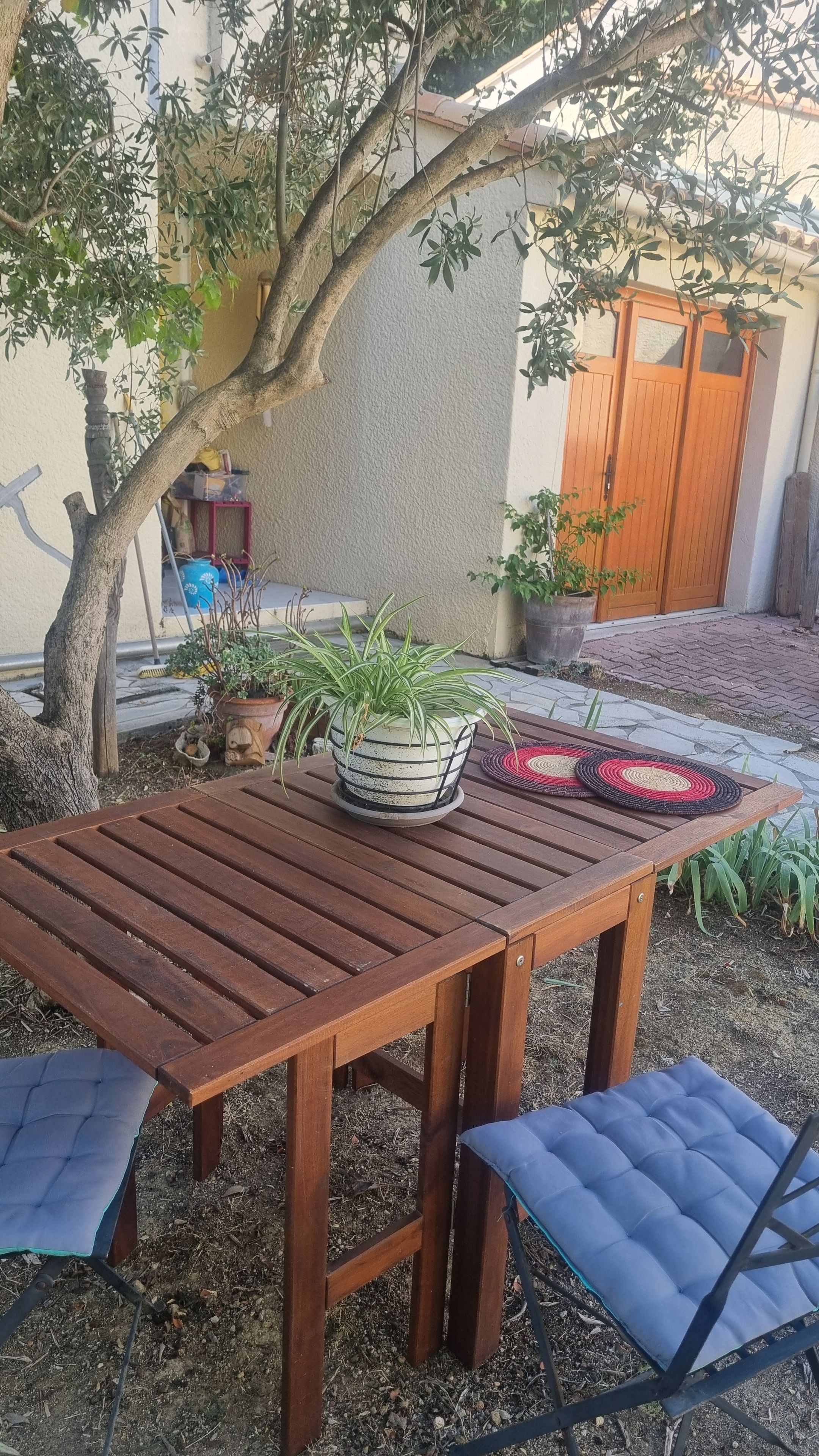 Une table en bois, un pot de fleurs, deux chaises rembourrées et un set de table en fibres tressées.