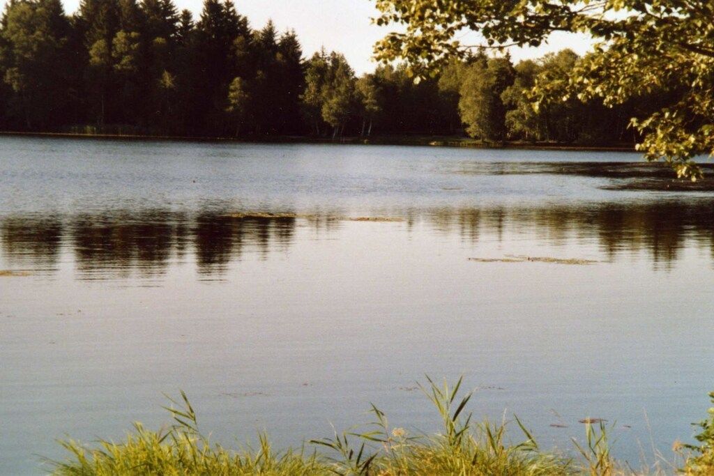 A calm lake with a forested shoreline.