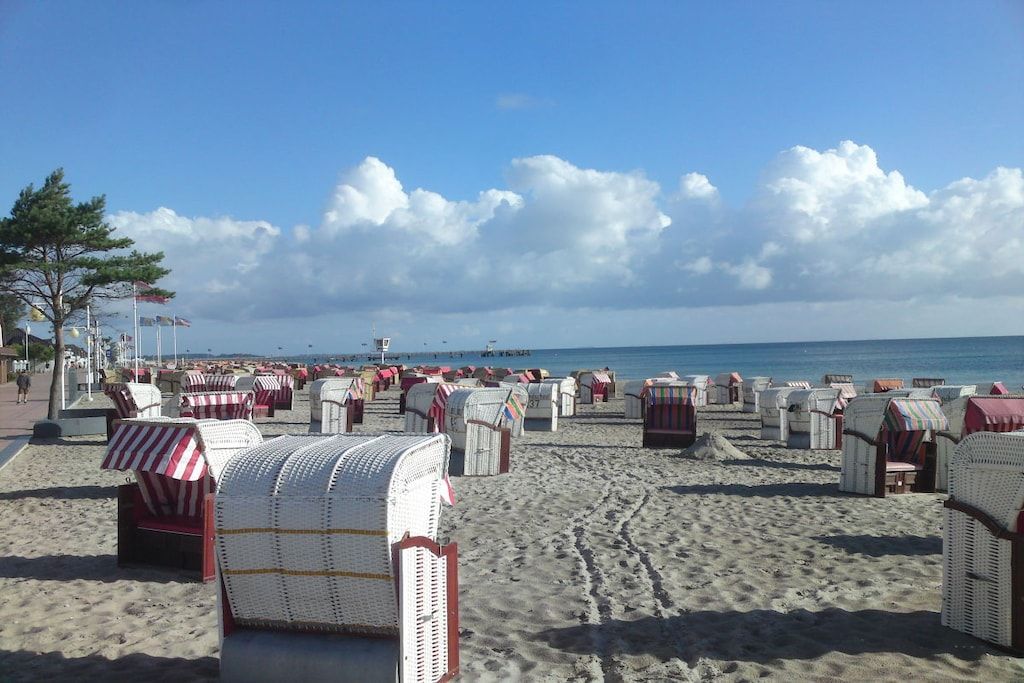 A beach with rows of beach chairs and umbrellas, a clear sky, and the ocean in the background.