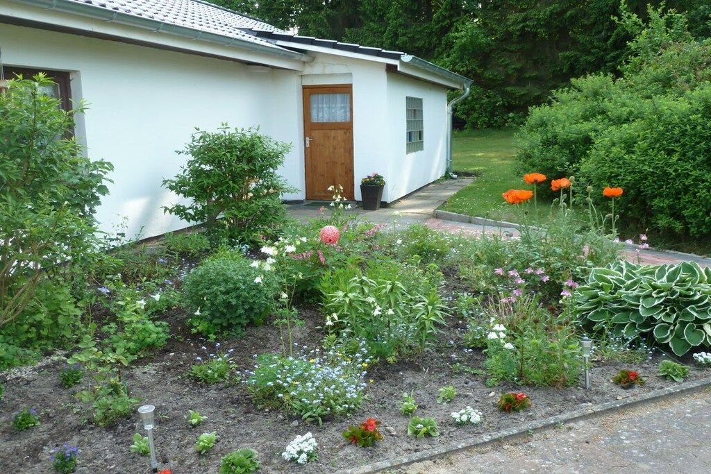 A white house with a brown door, surrounded by a garden with various plants and flowers.