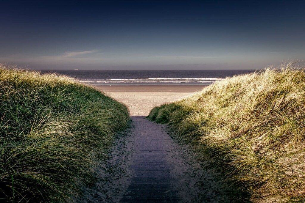 Een pad dat naar een strand leidt, met duinen aan weerszijden.