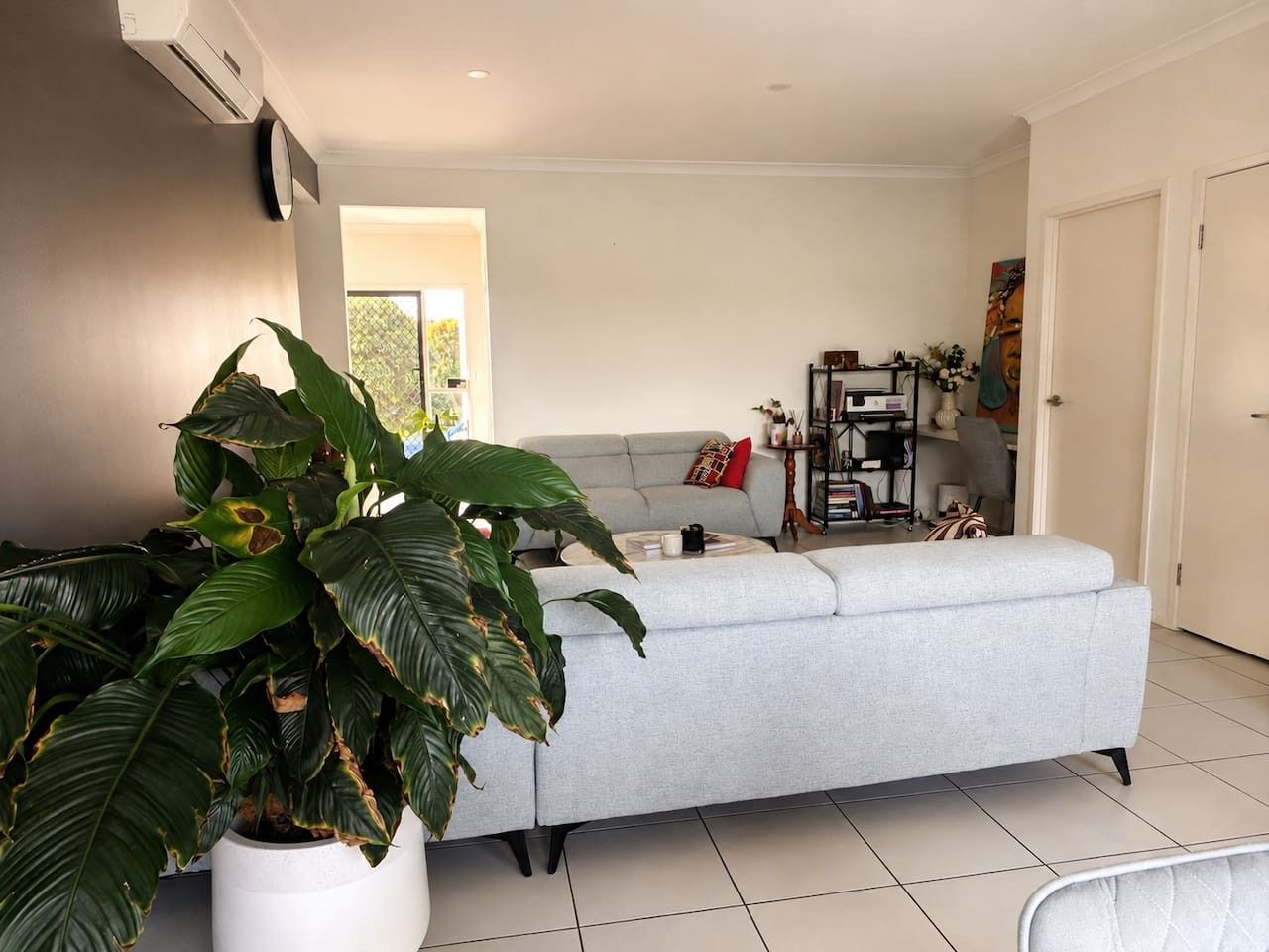 Uma sala de estar moderna com um sofá cinza, uma grande planta em vaso e uma estante de livros.