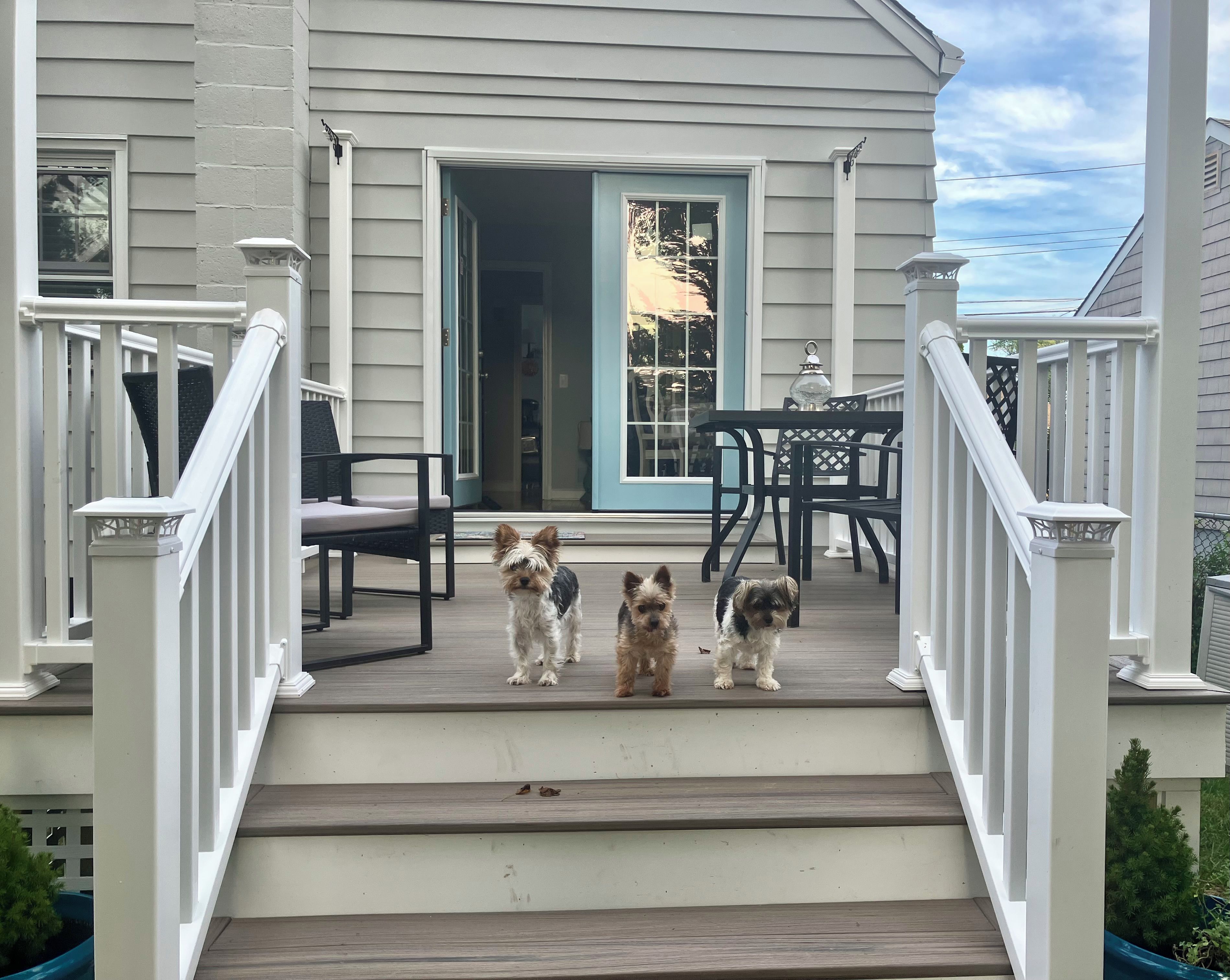 A porch with a set of stairs leading to a door, a table with chairs, and three dogs standing on the steps.