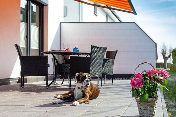 Ein Hund liegt auf einer Terrasse mit Gartenmöbeln, einem Tisch und einem Blumenkorb.