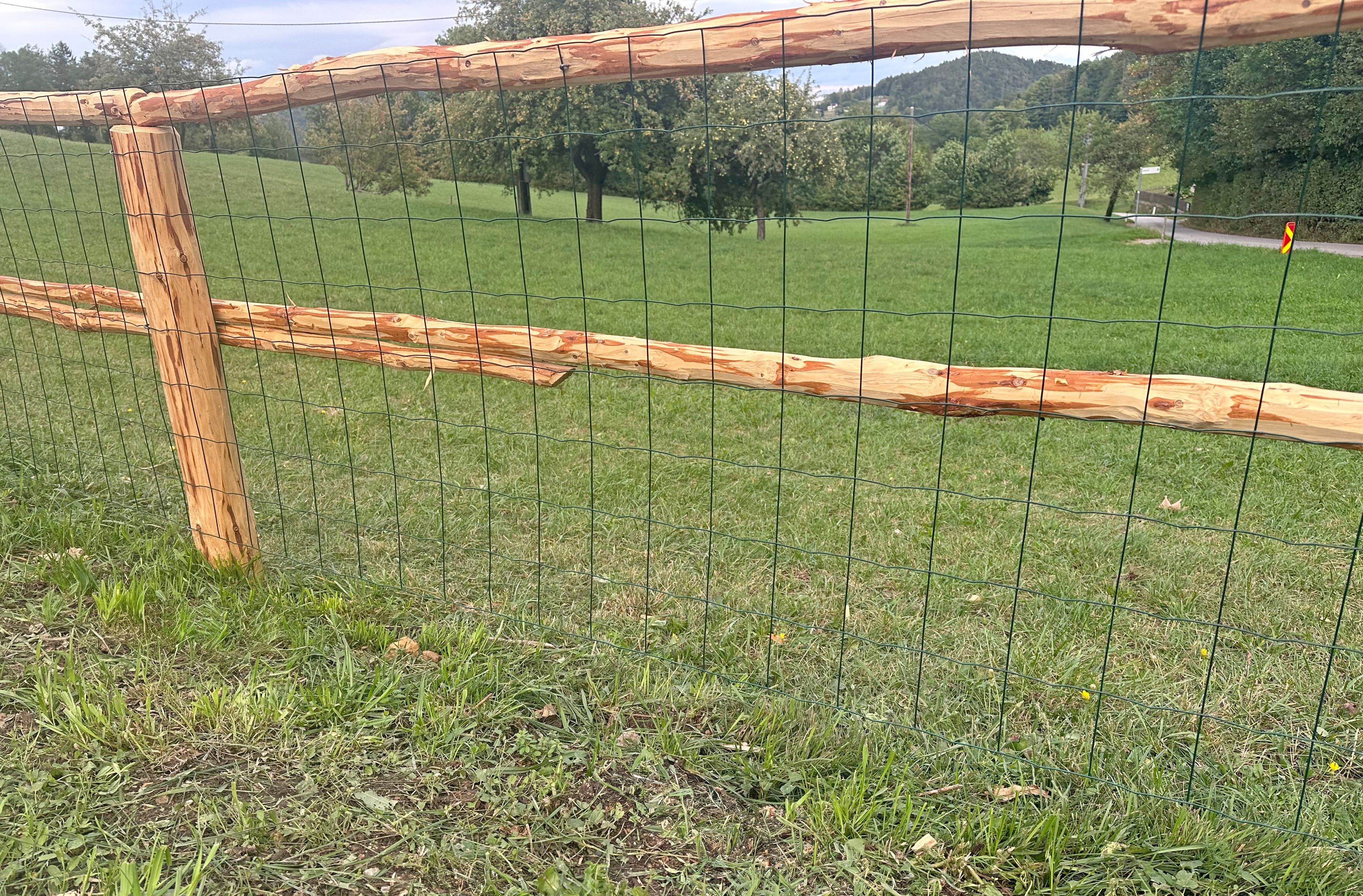 Ein Holzzaun mit Drahtgeflecht, umgeben von grünem Gras und Bäumen.
