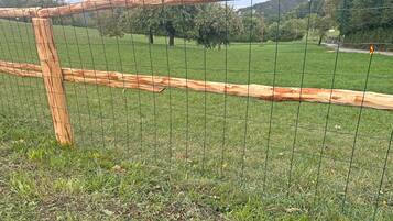 Ein Holzzaun mit Drahtgeflecht, umgeben von grünem Gras und Bäumen.