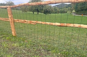 A wooden fence with a wire mesh, surrounded by green grass and trees.