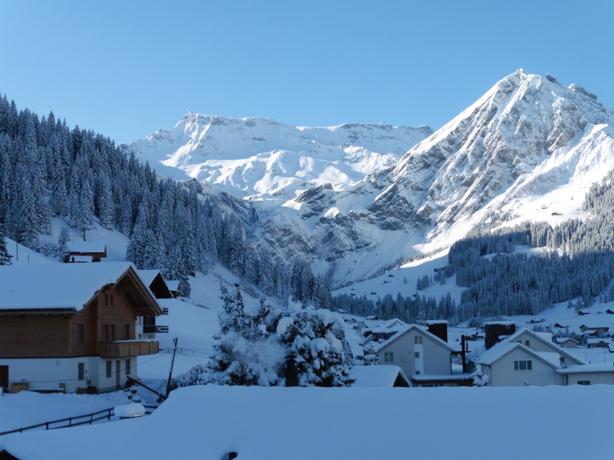 A snow-covered mountain with a clear sky, surrounded by dense forests and residential buildings.