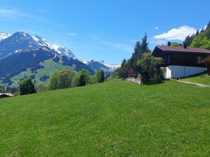 Eine Wiese mit einem Berg im Hintergrund und einem Gebäude mit rotem Dach.