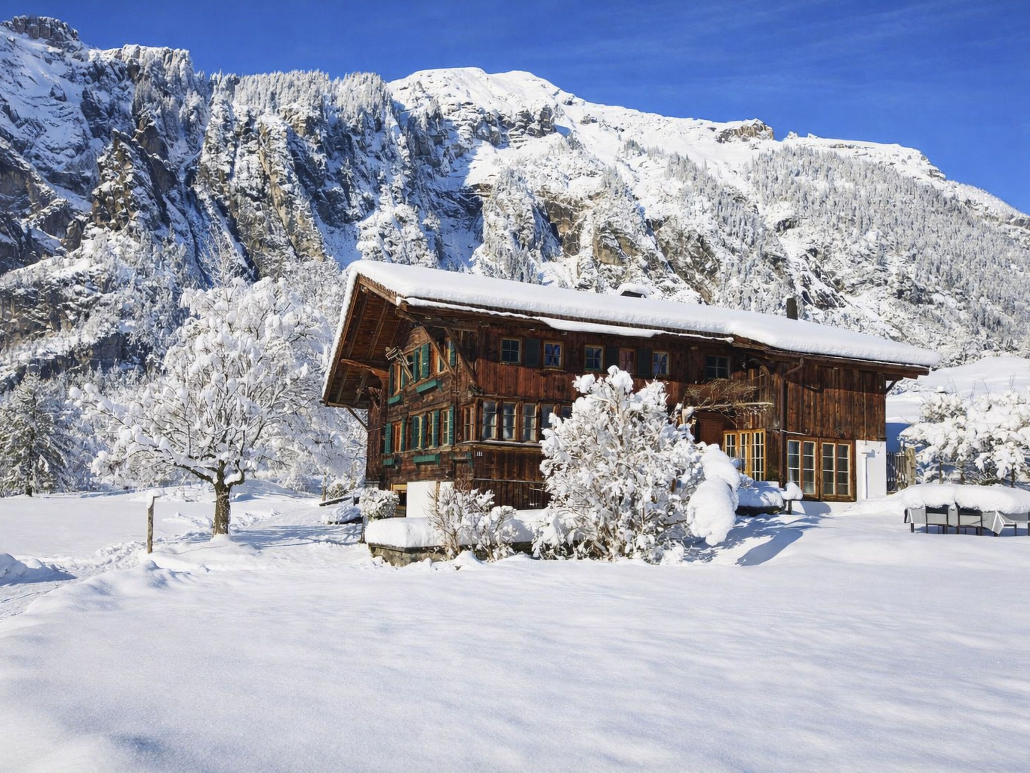 Een houten chalet met een sneeuwbedekte dak, omgeven door sneeuwrijke bomen en bergen.