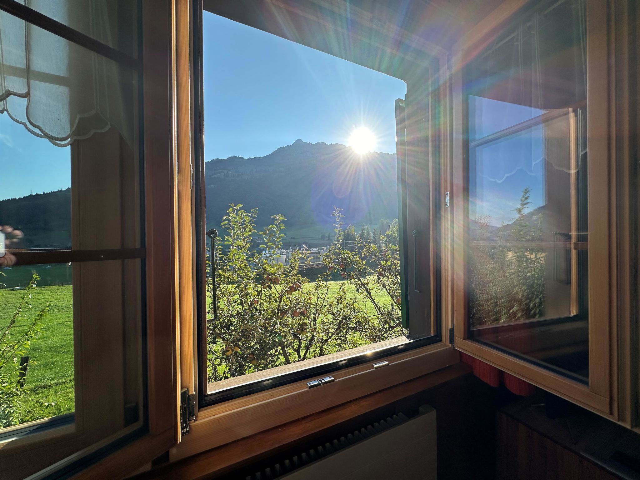 Une fenêtre donnant sur une montagne et un jardin.