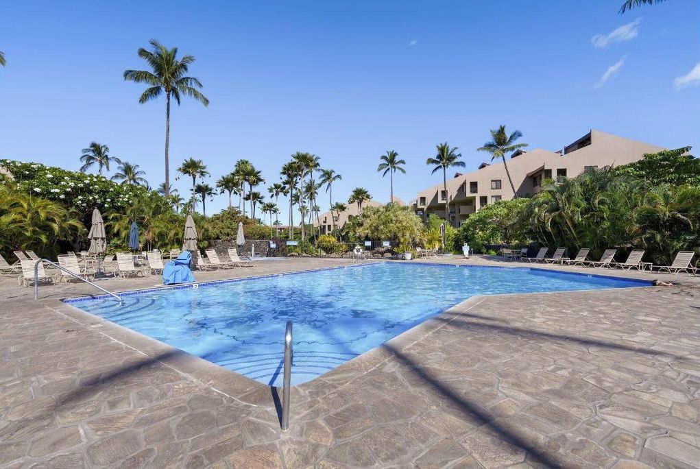 A swimming pool with lounge chairs and palm trees.