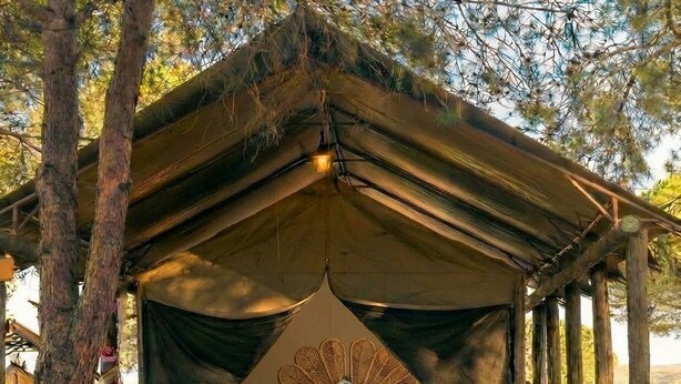Tent, Mountain View