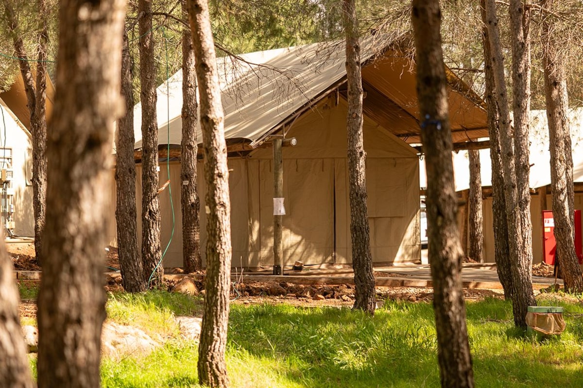 A single-room tent with a metal roof, surrounded by trees, and a red utility box to the right.