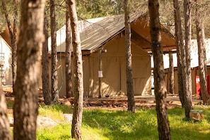 Detalle exterior