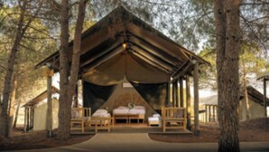 Tent, Mountain View | Pemandangan dari bilik
