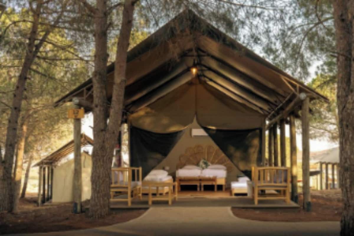 Tent, Mountain View | View from room