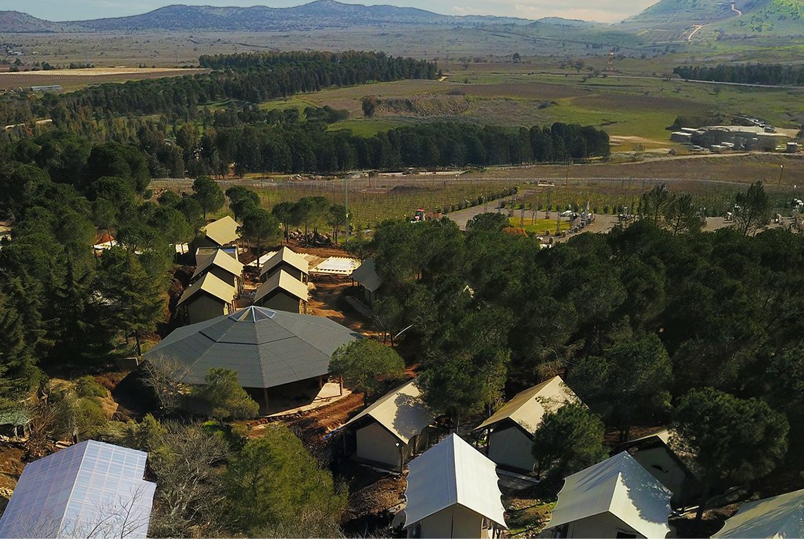 A residential area with multiple houses, some with pitched roofs, surrounded by dense trees and open fields.