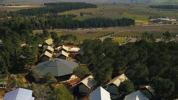 A residential area with multiple houses, some with pitched roofs, surrounded by dense trees and open fields.