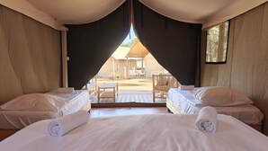 Tent, Mountain View