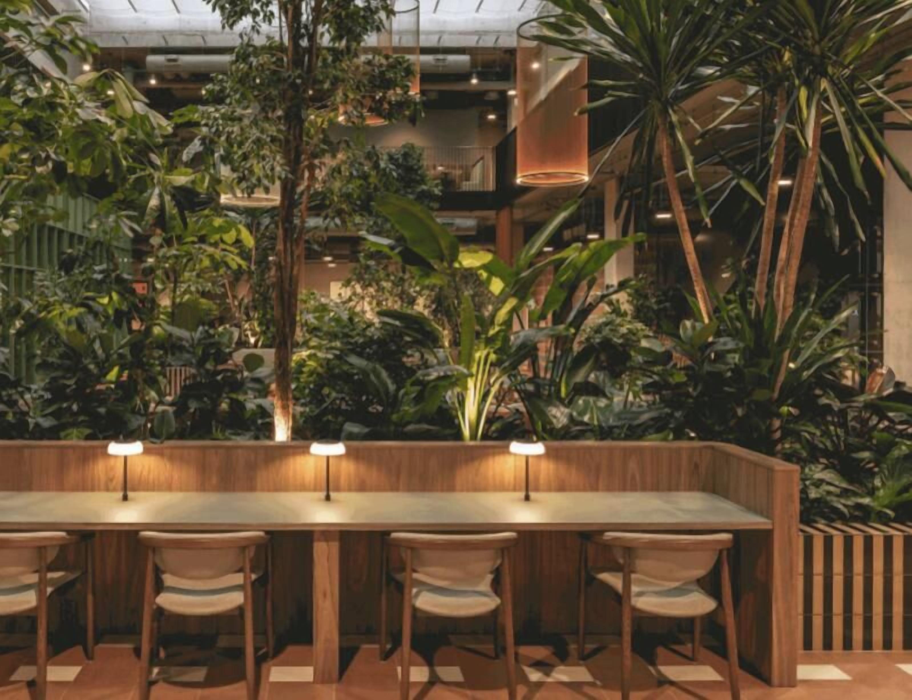 Eine Bar mit einer langen Holztresen und vier Stühlen, umgeben von üppigen Zimmerpflanzen.