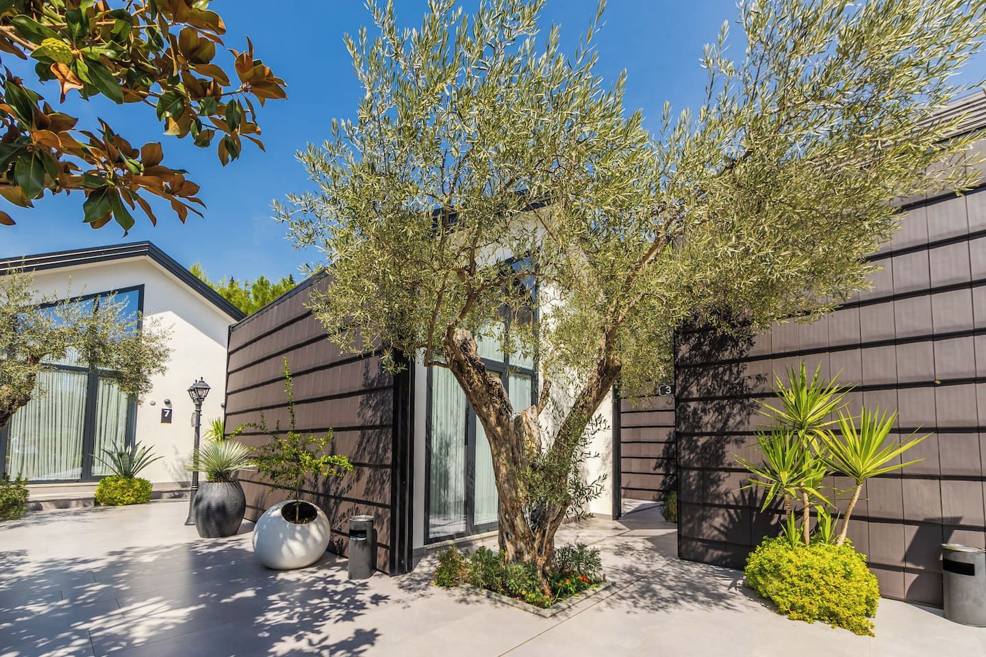 Un bâtiment moderne avec un grand arbre au centre, entouré de différentes plantes et d’un chemin piétonnier dallé.