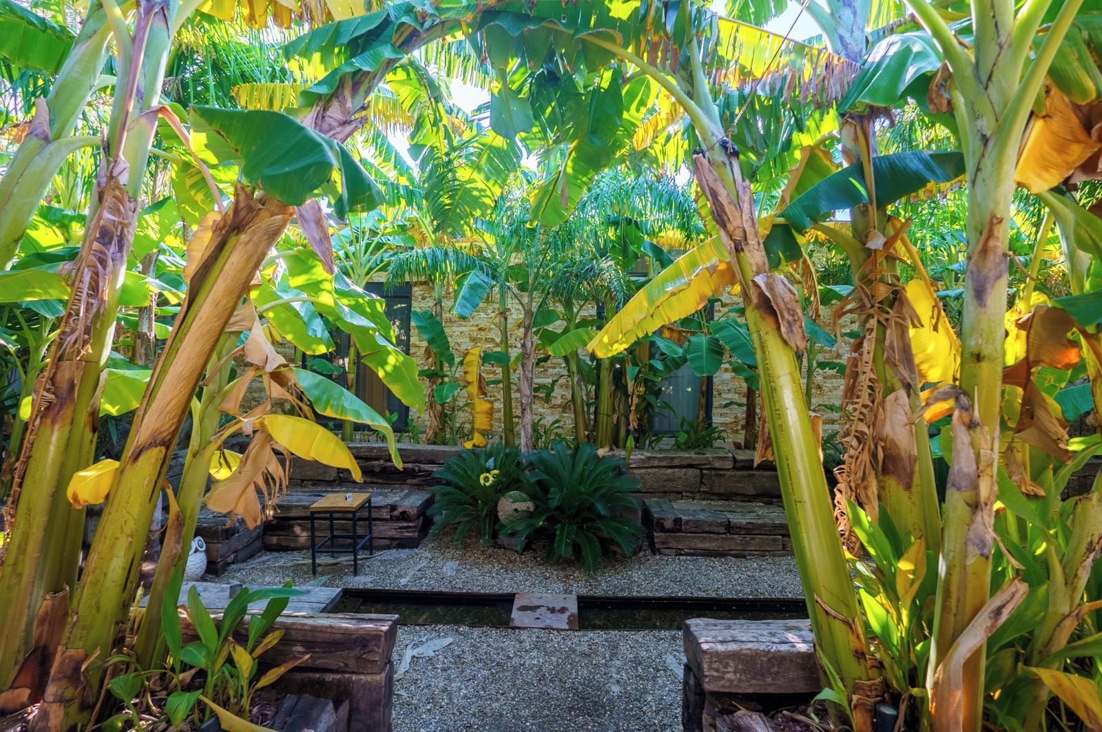 Un jardín con árboles de plátano, un banco de madera y un sendero de piedra.