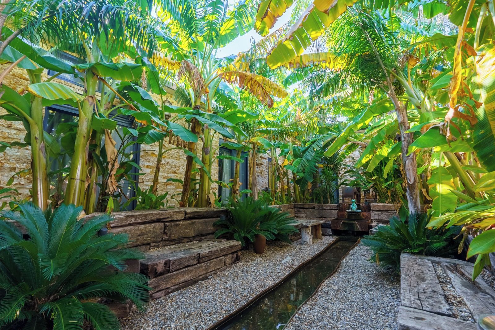 Un exuberante jardín interior con diversas plantas tropicales, un pequeño elemento acuático y un banco de madera rústica.