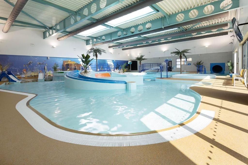 An indoor swimming pool with a curved design, palm trees, and a blue and white color scheme.