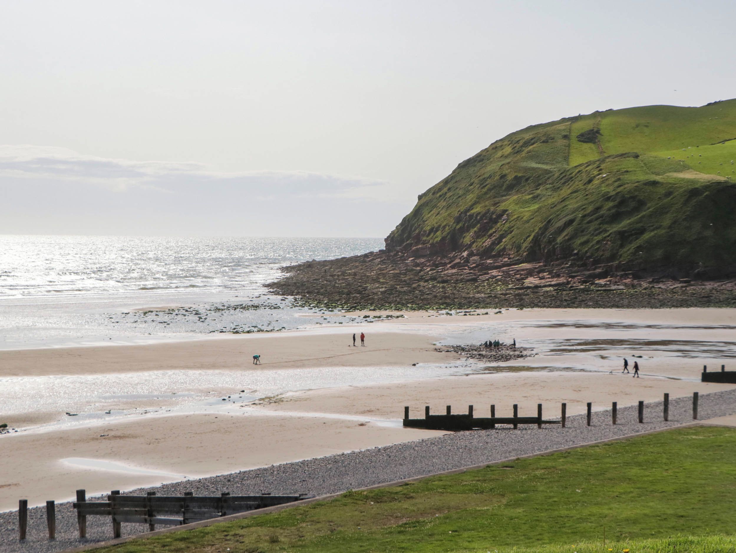 A coastal beach with a grassy area and a rocky cliff.