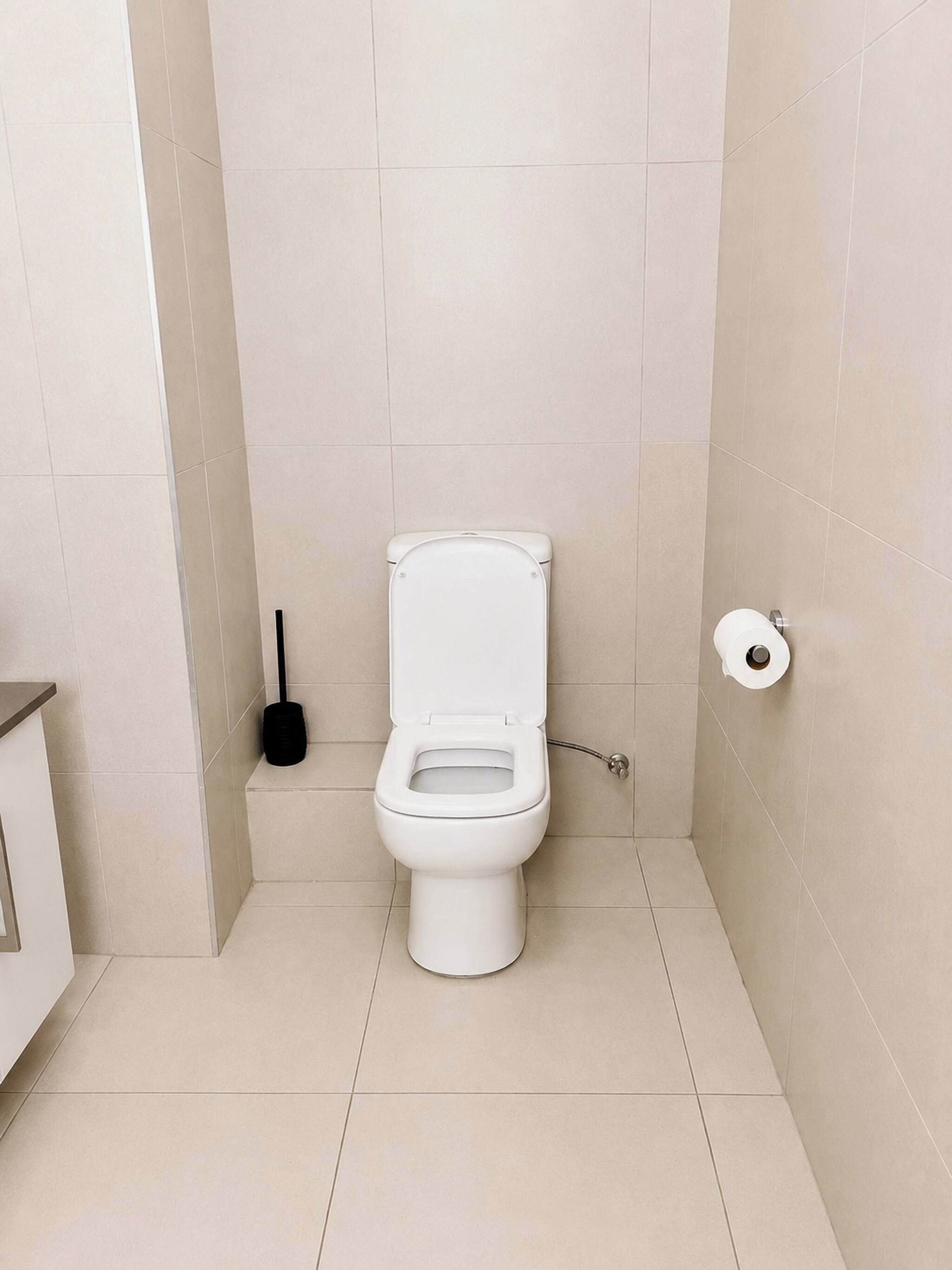 A small, modern bathroom with a white toilet, a toilet paper holder, and a plunger on the wall.