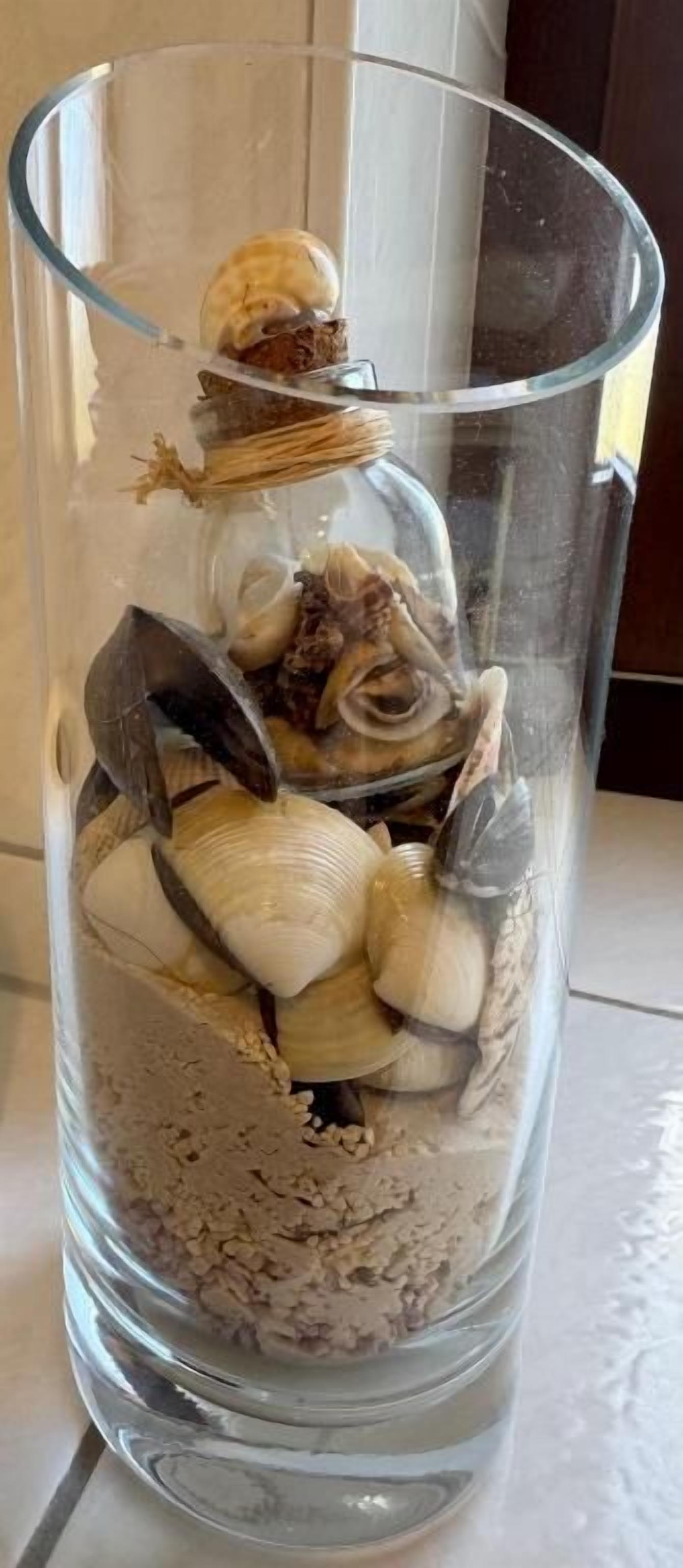 Un florero de vidrio transparente con conchas marinas y arena.