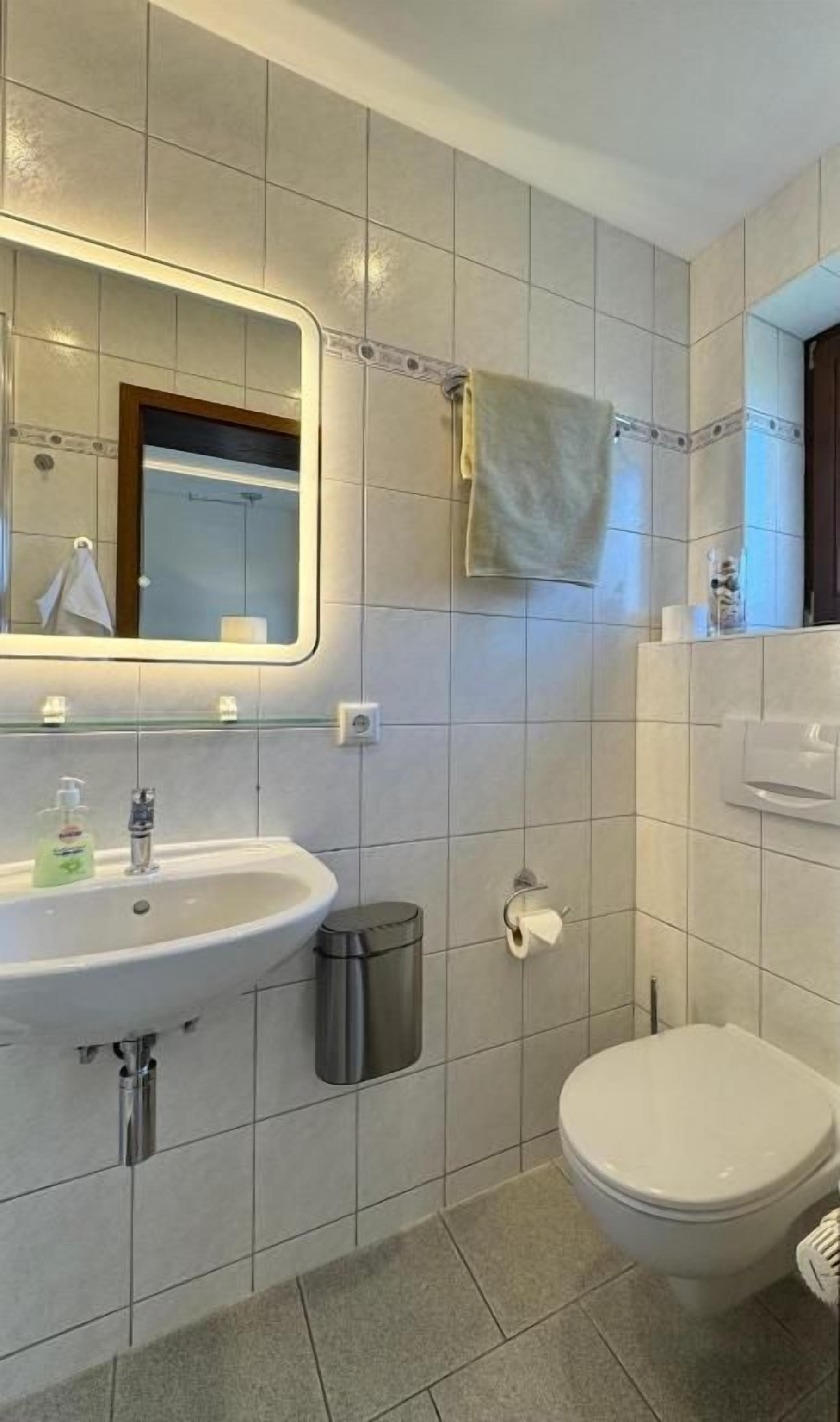 Un baño con lavamanos, espejo, inodoro y toallero.