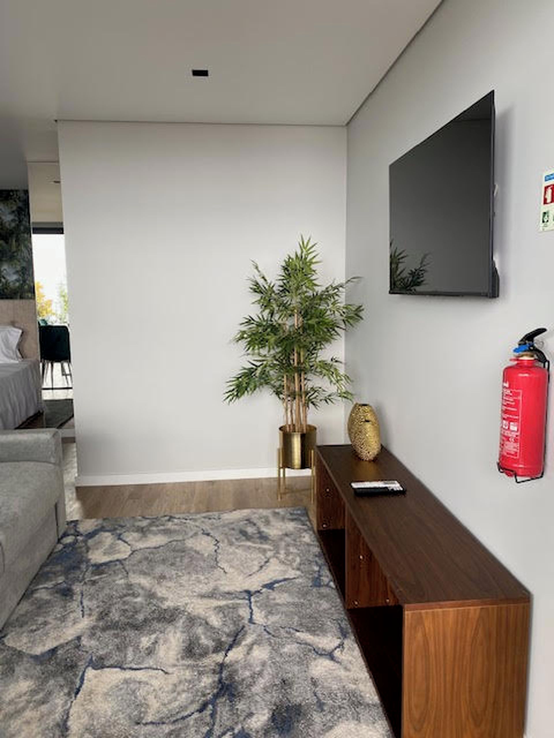 A modern living room with a flat-screen TV, a wooden console table, a potted plant, and a fire extinguisher on the wall.