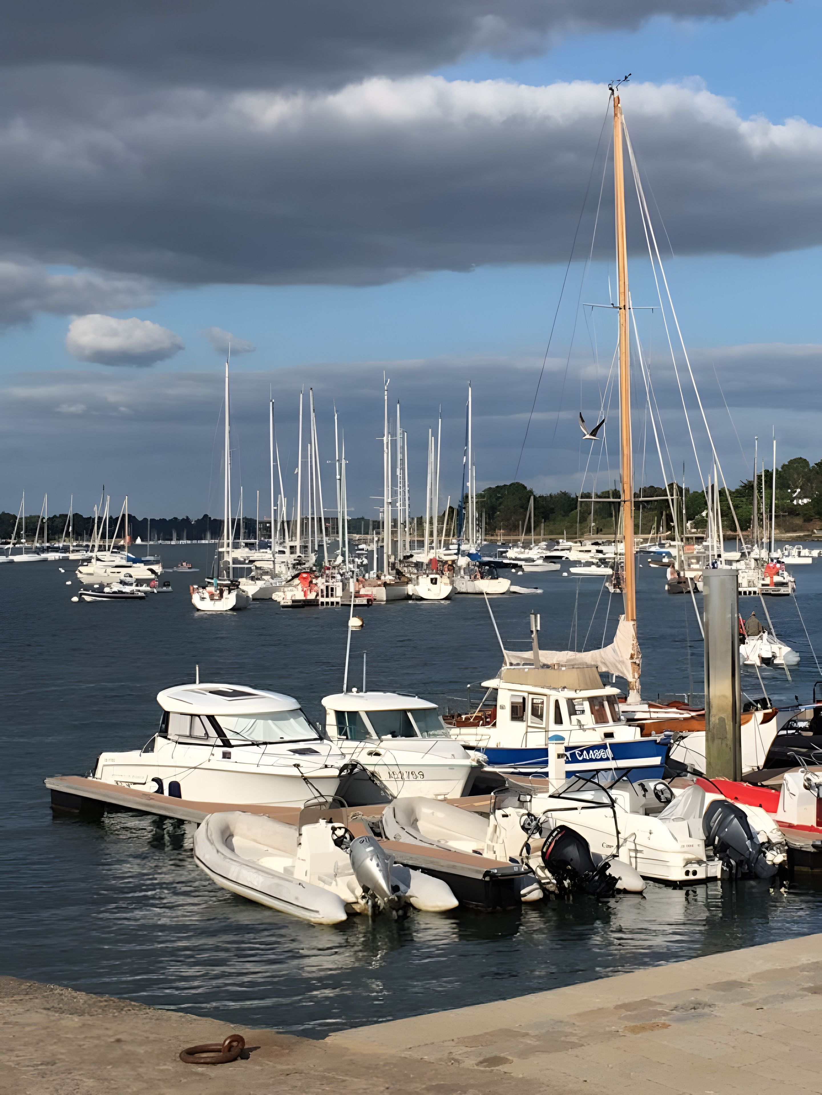 A marina with multiple boats docked, a clear sky, and a distant shoreline.