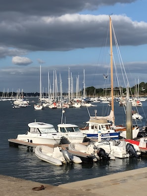 Un port de plaisance où sont amarrés de nombreux bateaux, un ciel dégagé et une côte lointaine.