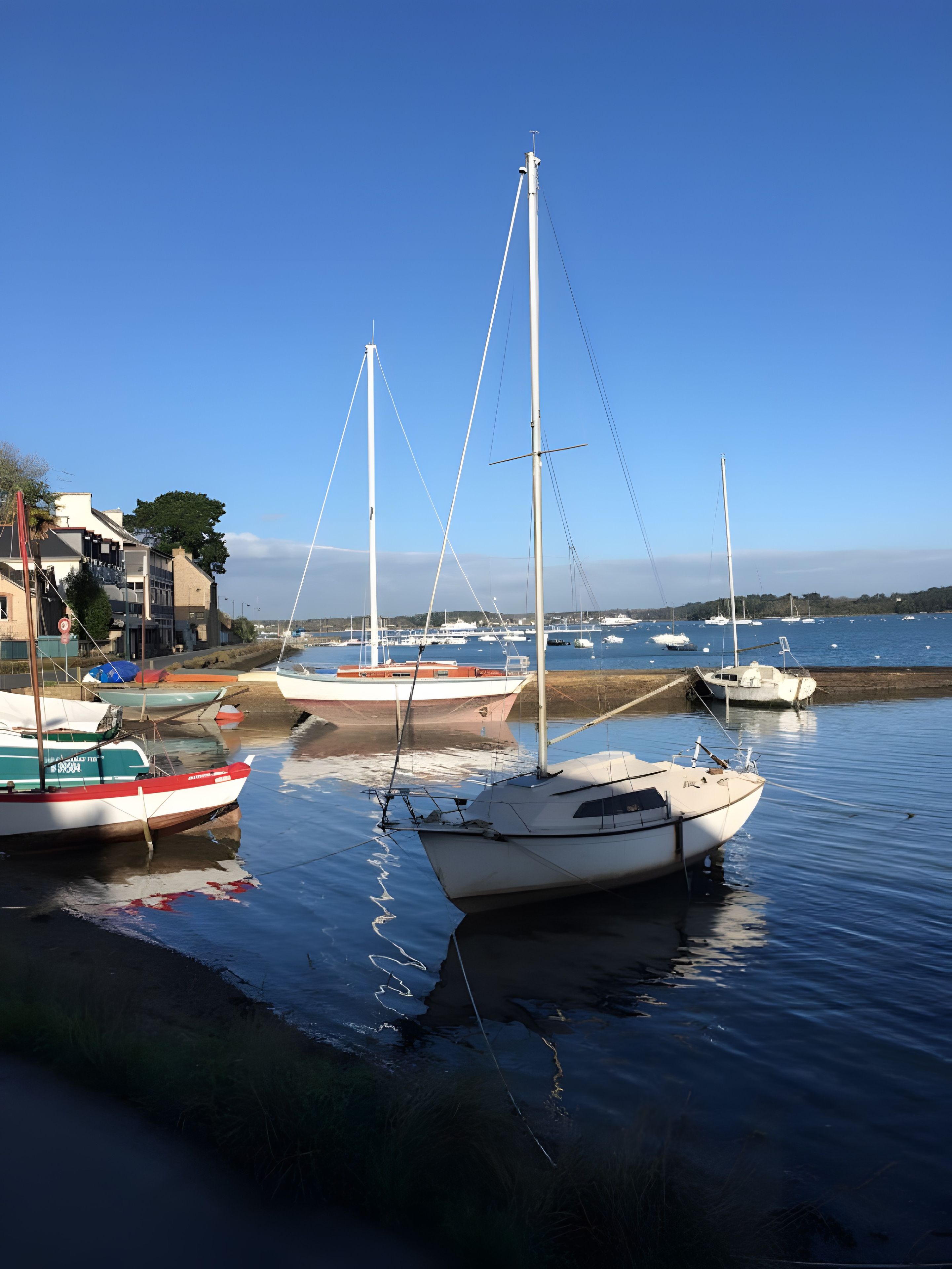 Eine Marina mit mehreren Segelbooten, ruhigem Wasser und blauem Himmel.