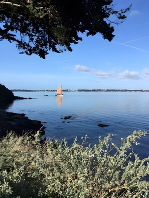 Ruhige Wasserfläche mit einem Segelboot, umgeben von Vegetation und blauem Himmel.