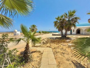A pathway leading to a white building with a palm tree in the foreground.