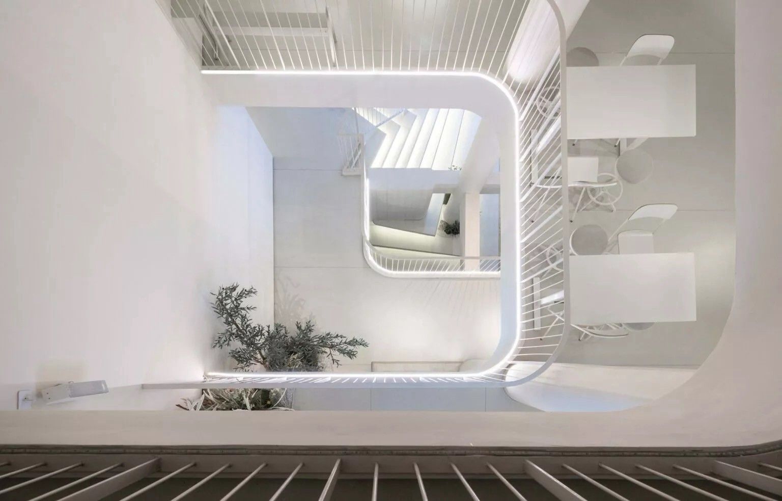 A modern interior with a curved wall design, a seating area with a sofa and chairs, and a plant.