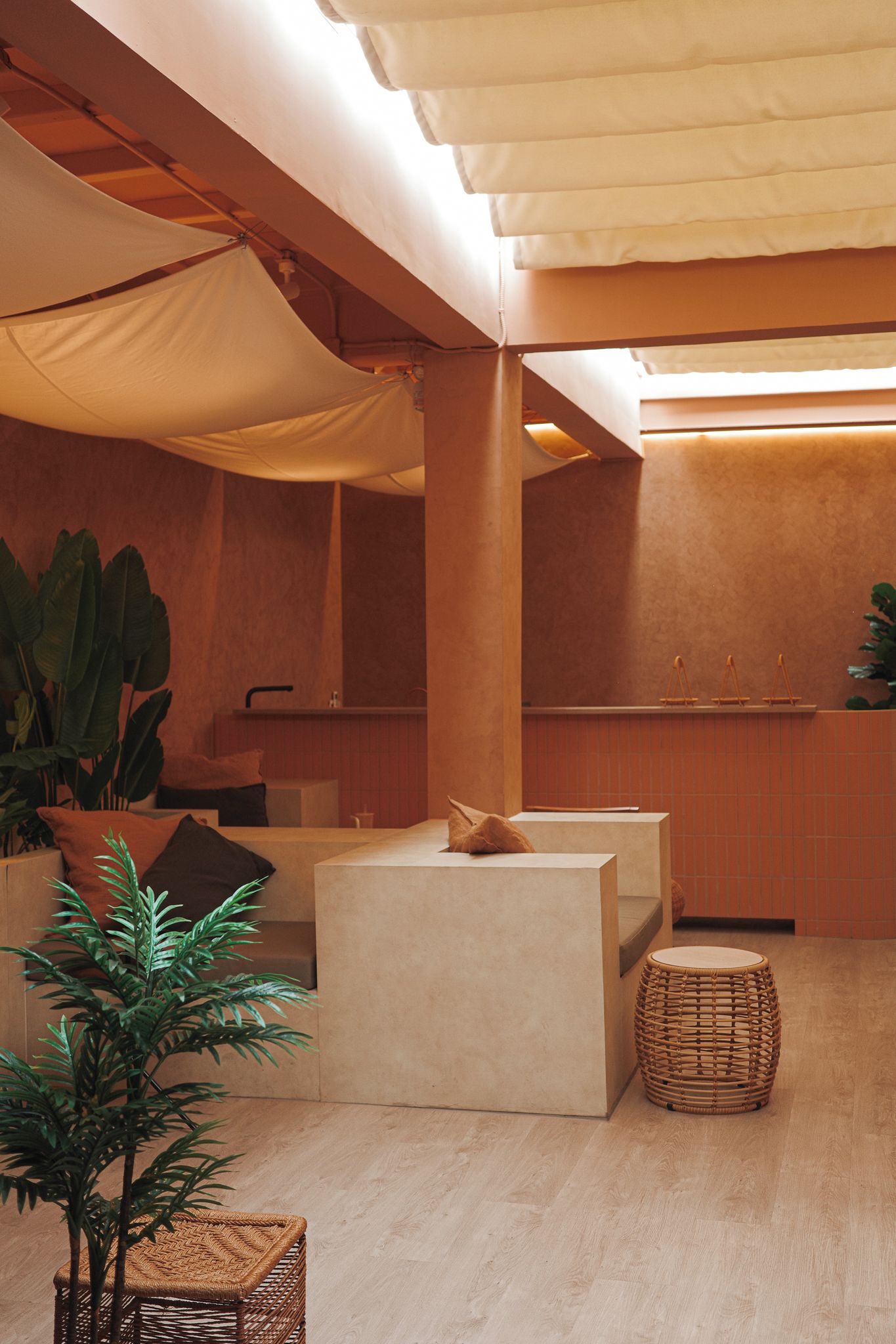 Un interior moderno con una mesa de recepción, una zona de estar y una planta grande en maceta.
