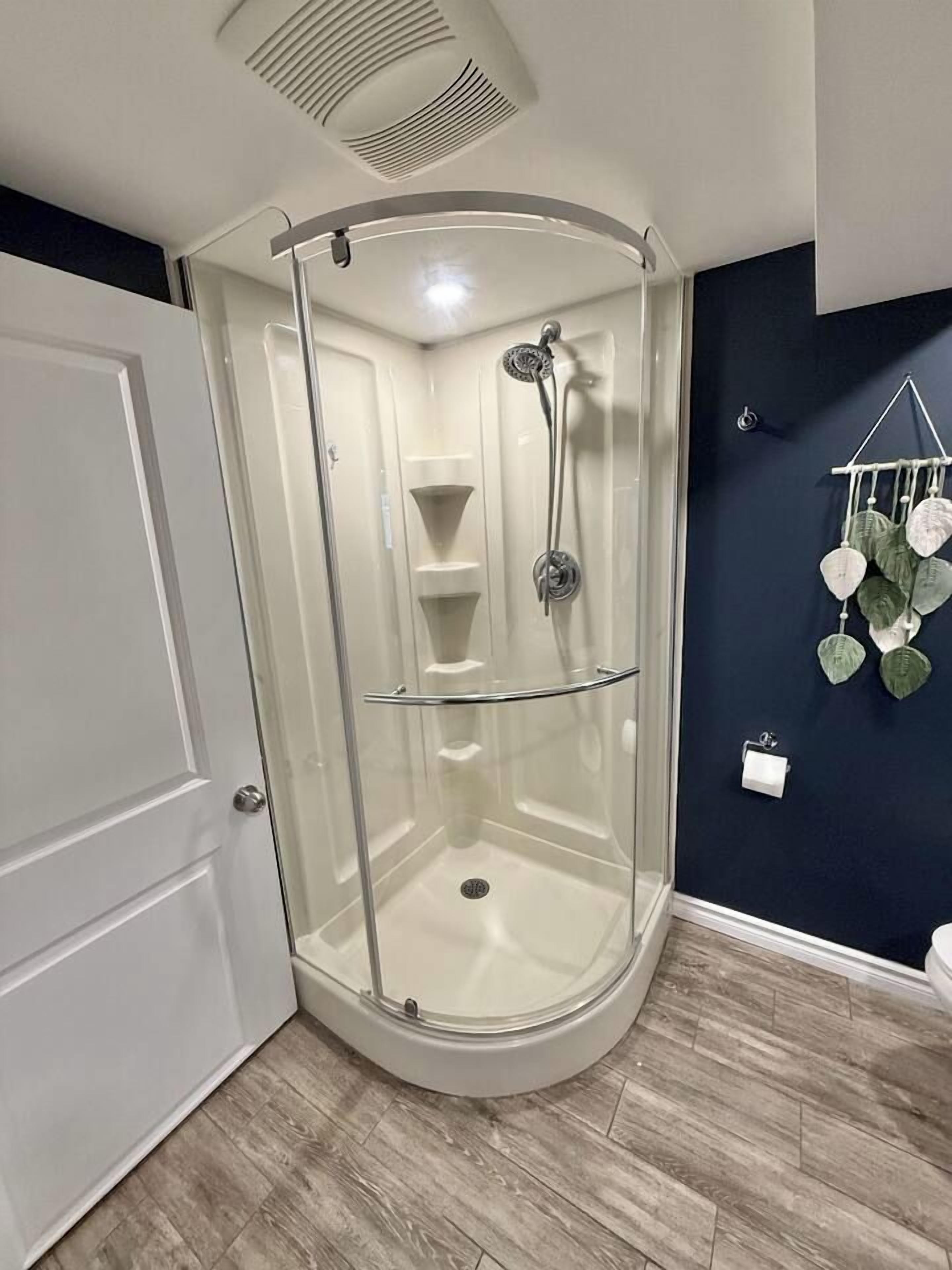 A corner shower with a glass enclosure, a white door, and a dark wall with a hanging plant.