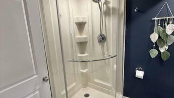 A corner shower with a glass enclosure, a white door, and a dark wall with a hanging plant.